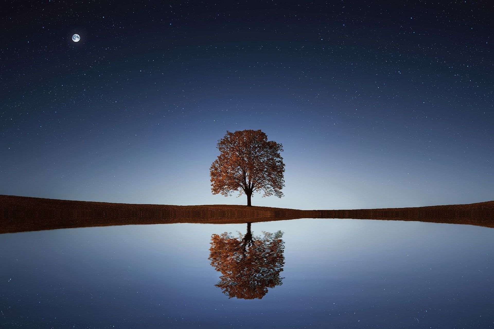 Image principale